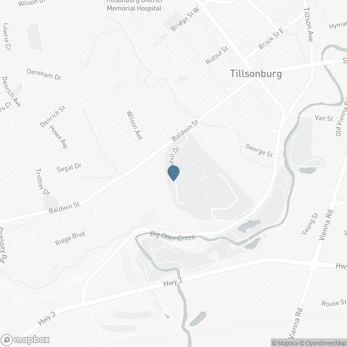 11 GREENHILL DRIVE, Tillsonburg, Ontario N4G 0L4